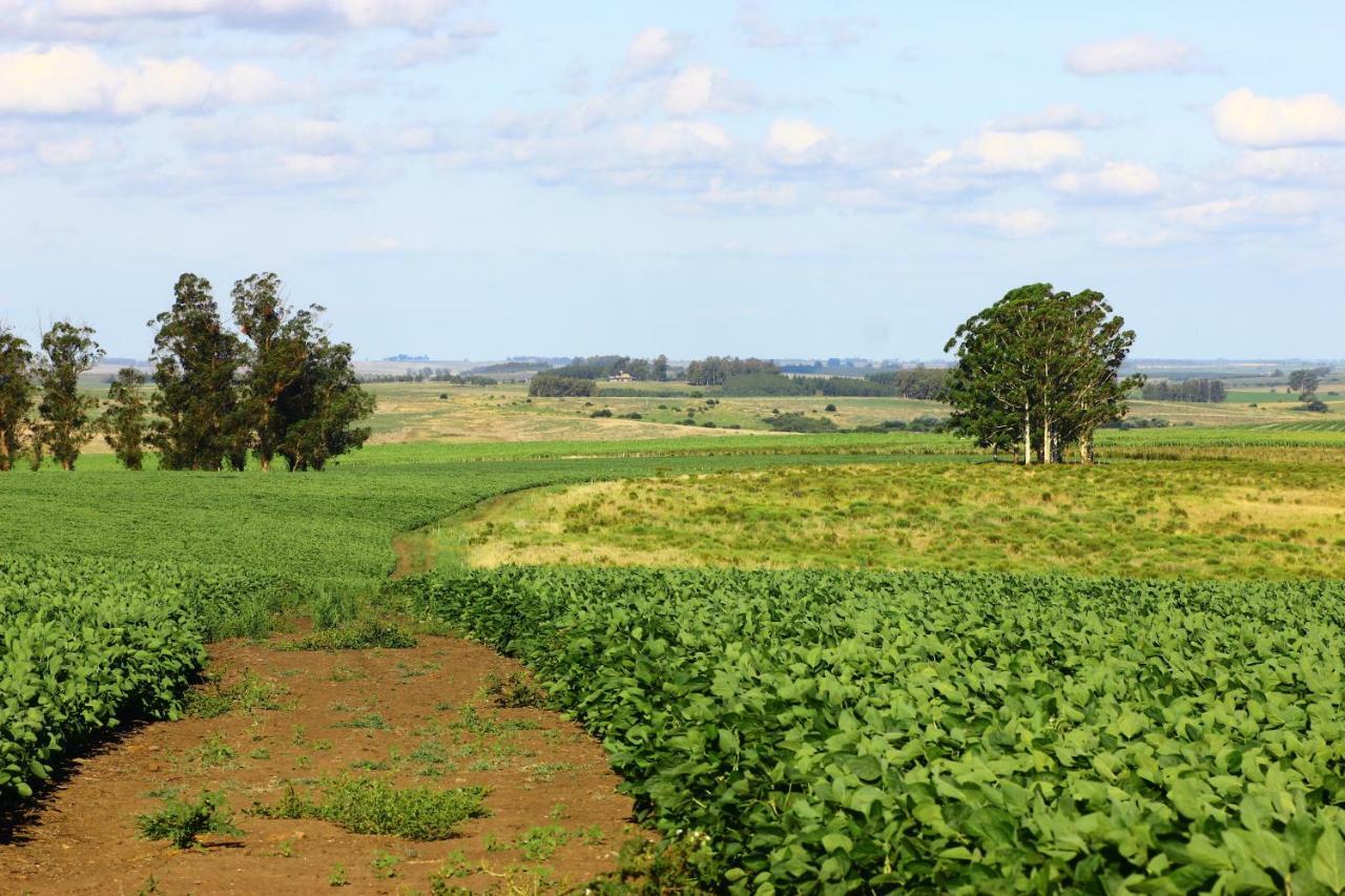 Estancia Turistica Finca Piedra Mal Abrigo Bagian luar foto
